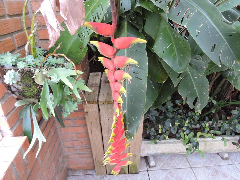 Pousada Don Alberto'S Florianópolis Kültér fotó